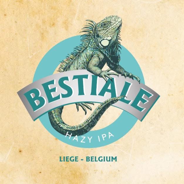 Hazy IPA 33cl