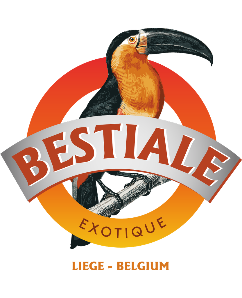 Exotique 33cl (4.8°)